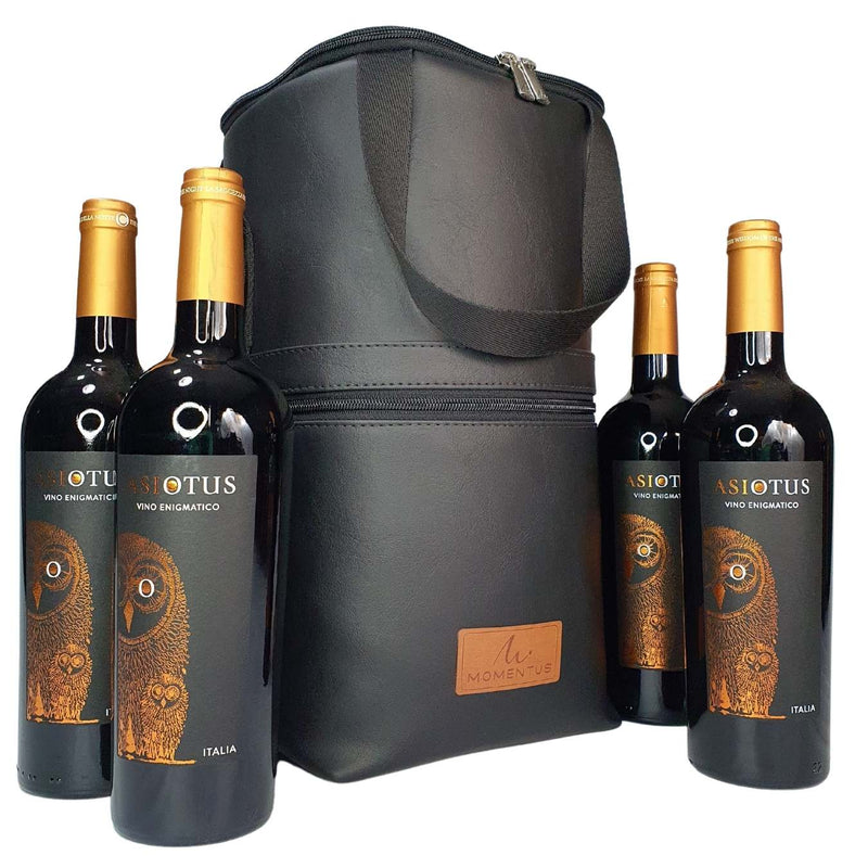 WINEBAG SAMBAQUI NÁUTICO PRETA - 4 GARRAFAS